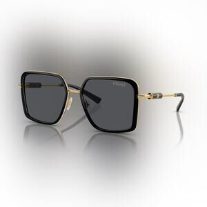 Versace Sunglasses in Black and Gold VE2261